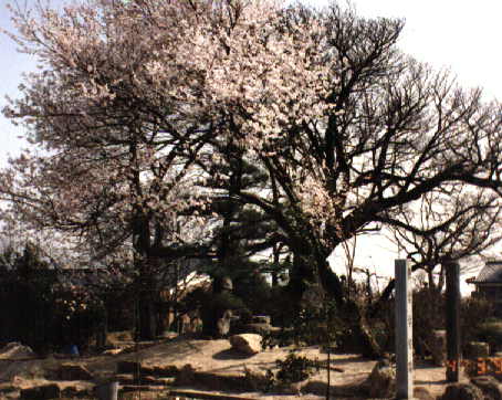 �q�K���U�N��