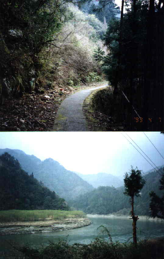 ���a�c�w�ւ̓��E�V����