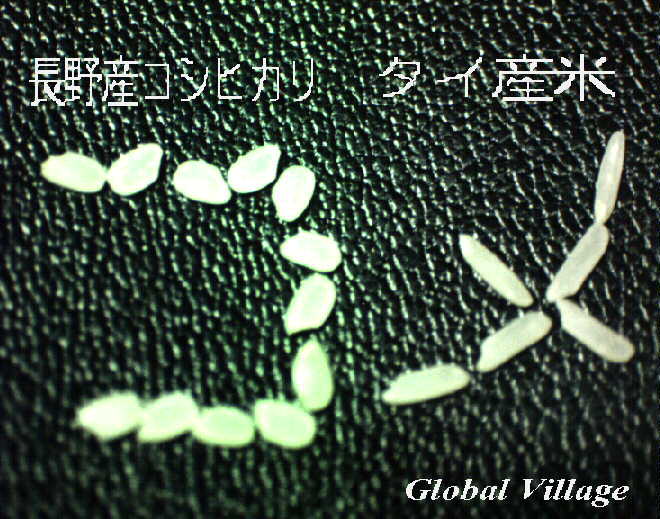 ���Y�Ăƃ^�C��